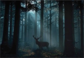 Fotótapéta Erdő Szarvas Állatok Hálószoba Nappali Tapéta Flizelina 350x250