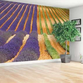 Fotótapéta Provence Franciaország 104x70 cm