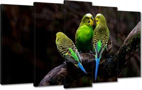 Vászonkép 100x60 Papagájok Madarak