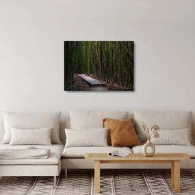 Kép - A bambuszok között (üvegen) (70x50 cm)