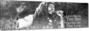 Vászonkép 90x30 Bob Marley koncert