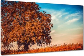 Vászonkép 120x70 Jessiene színek Tájkép