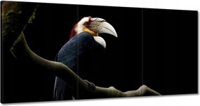 Festmények 180x90 Papagáj az ágon