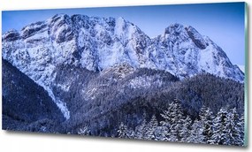 Fotótapéta üvegfalra Gyönyörű erdő télen 100x70