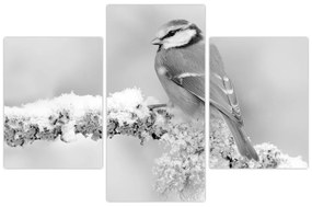 Kép - Egy madár egy ágon (90x60 cm)