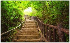 Fotótapéta flizelina 416x254 Lépcsők az erdőbe