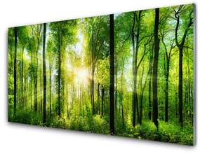 Modern üvegkép Természet Erdei fák 125x50 cm