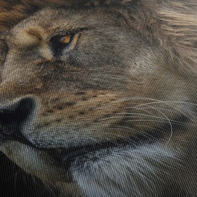 Kép - A fenséges oroszlán (órával) (90x30 cm)