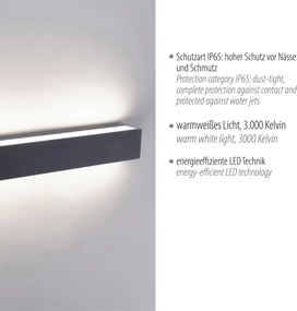 Paul Neuhaus modern kültéri fali lámpa robert antracit pln9676-13