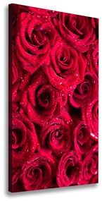 Vászonkép nyomtatás Vörös rózsák ocv-122317792