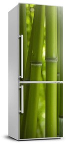 Matrica hűtőre Bambusz erdő FridgeStick-70x190-f-24255297