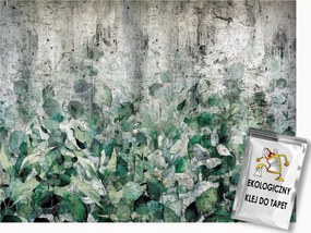 Fotótapéta Flizelina Fal Szürke Beton Zöld Növények Levelek 200x140 ragasztó