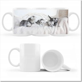 Cica fényképes bögre Cicák