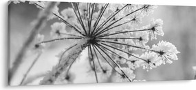 Kép - Virág télen (120x50 cm)