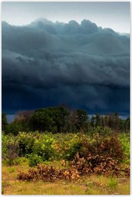 Poszterek 80x120 Ćsz Hegyek FolyĂł FĂĄk