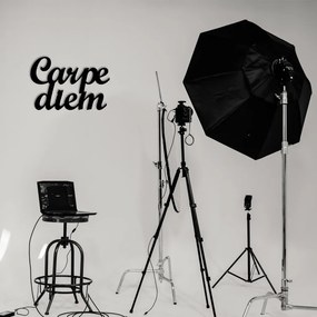 Carpediem fém fali dekoráció, 50×38 cm