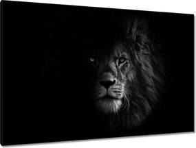 Vászonkép 120x80 Oroszlán az árnyékban Király