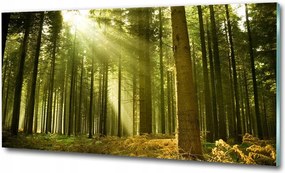 Fotó üveg kép Naplemente hegyek 125x50