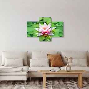 A tavirózsa képe a felszínen (90x60 cm)