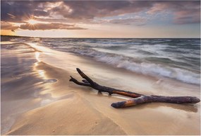 Flizelin tapéta Flizelin Fali Prémium Nyugati strand 104x70