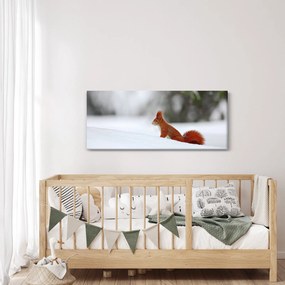 Egy mókus képe (120x50 cm)