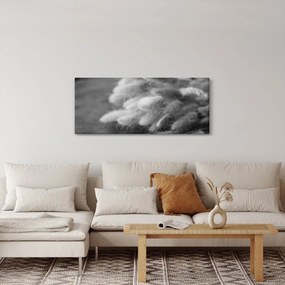 Kép - nyúlfarknyi fű az asztalon (120x50 cm)