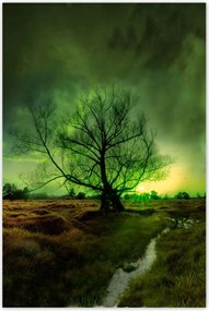 Poszterek 60x90 Rogalin