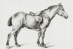 Dekoratív Fotótapéta Hálószobába Ló vázlat 104x70 Ragasztó