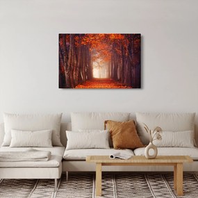 Kép - őszi erdő (90x60 cm)