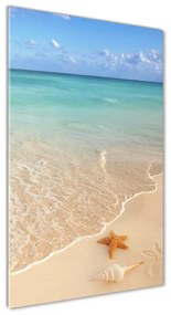 Üvegfotó Starfish a strandon osv-23665929