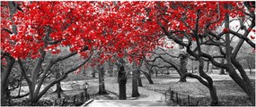 Kép - vörös fák,Central Park, New York (120x50 cm)