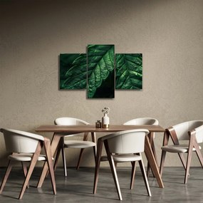 Kép - A lap részletei (90x60 cm)