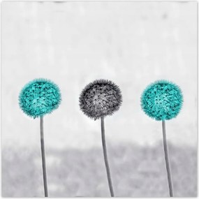 Poszterek 100x100 Türkiz pitypangok