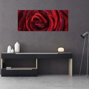 Kép - Vörös rózsa harmatcseppekkel (120x50 cm)