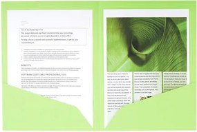 Irattároló mappa, 2 zsebes, A4, 25 db, EXACOMPTA Rock's, 5 különböző szín (EX415000E)