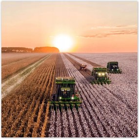 Poszterek 100x100 Aratás Mezőgazdaság Kombájn