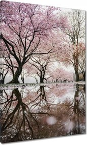 Vászonkép 70x100 Fa Kilátás