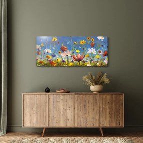 Festett kép egy virágzó rét (120x50 cm)