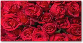 Fotó vászonkép edzett üveg Vörös rózsák 140x70
