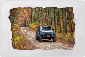 Poszterek 90x60 Jeep Wrangler az erdőben