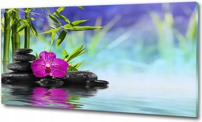 Fotó kép fotó edzett üveg Bambusz 125x50