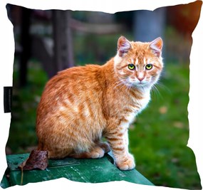 Vörös macska párna 40x40 Ajándéknak is tökéletes