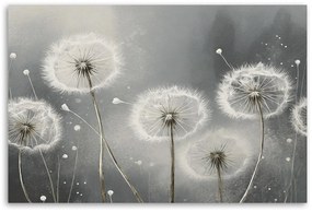 Gario Vászonkép Pitypang a szürke árnyalataiban Méret: 100 x 70 cm