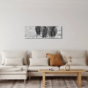 Kép - Skót tehenek, fekete-fehér (órával) (90x30 cm)