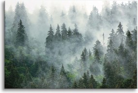 Modern Vászonkép a hálószobába Erdő a ködben Fali dekoráció