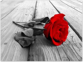 Poszterek 135x100 Vörös rózsa a deszkákon