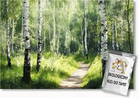Fotótapéta Flizelina Természet Erdő Fák Nyírfa Ösvény Út 208x146 ragasztó