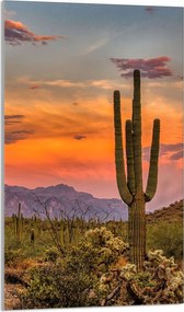 Üveg Vágódeszka 30x52 Hegyek a Konyhába