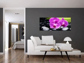 Kép - Orchideák (120x50 cm)