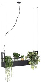 Okos lógólámpa fekete polccal, 4 Wi-Fi GU10 - Cage Rack